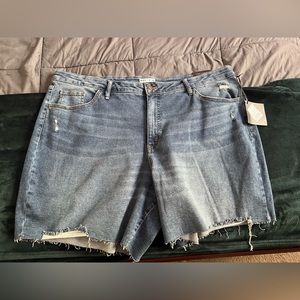 Women’s AVA & VIV Shorts Size 24W